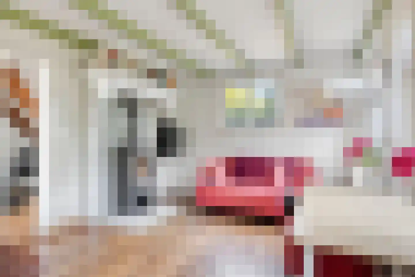 Coudorpseweg 30 Driewegen thumbnail 10