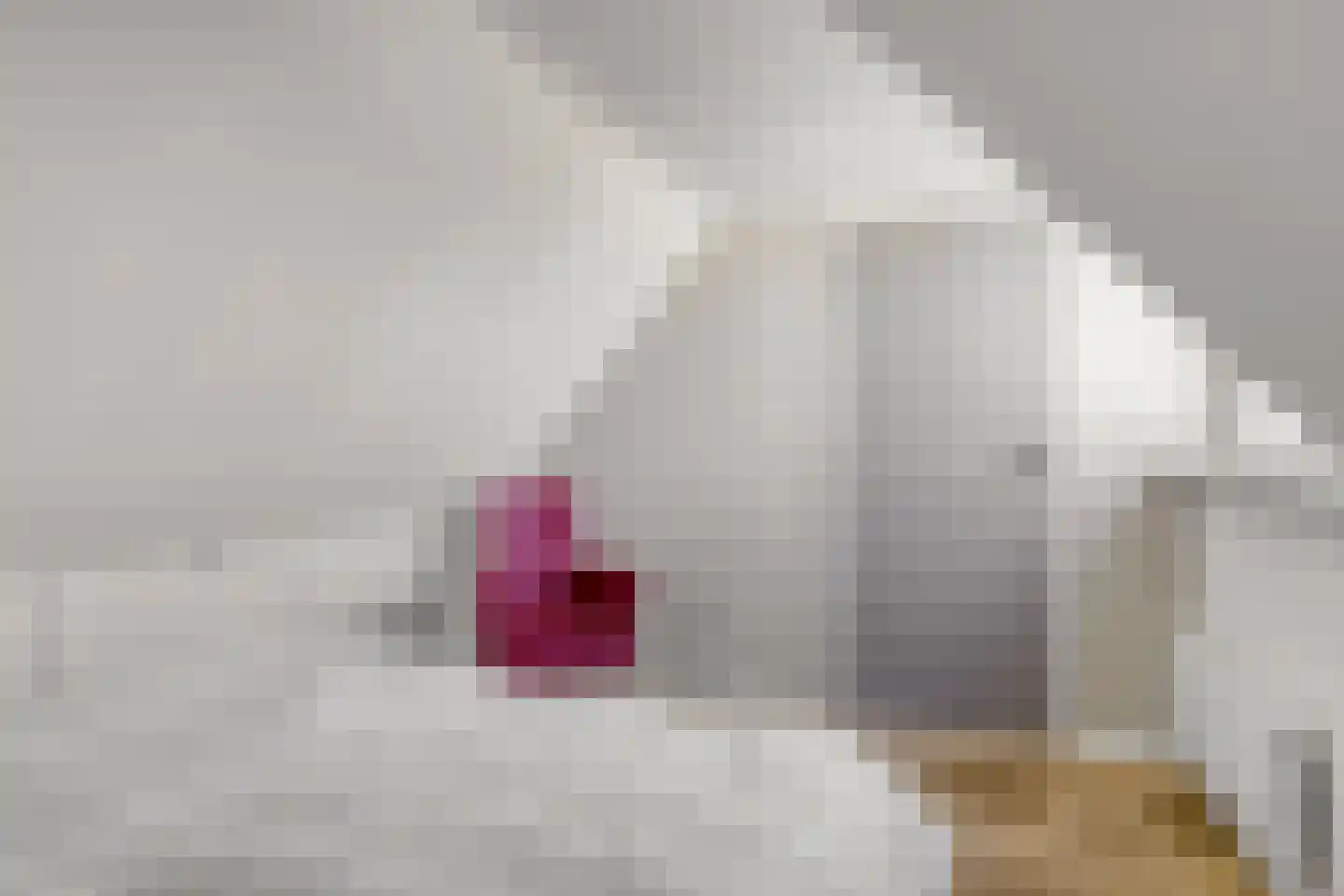 Coudorpseweg 30 Driewegen thumbnail 31