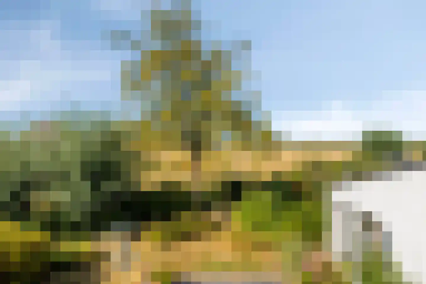 Coudorpseweg 30 Driewegen thumbnail 32