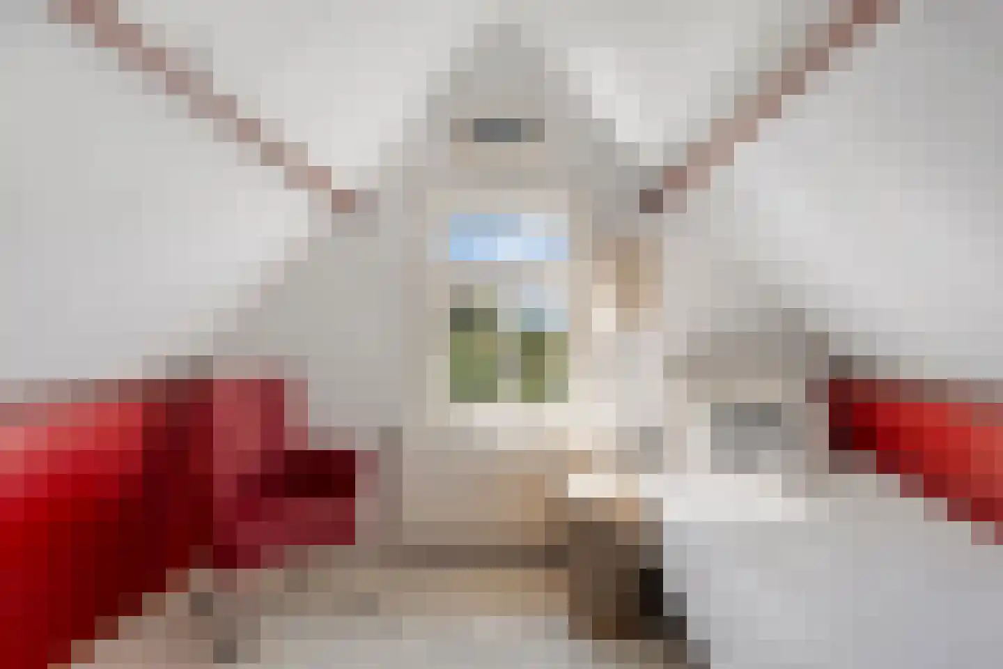 Coudorpseweg 30 Driewegen thumbnail 33