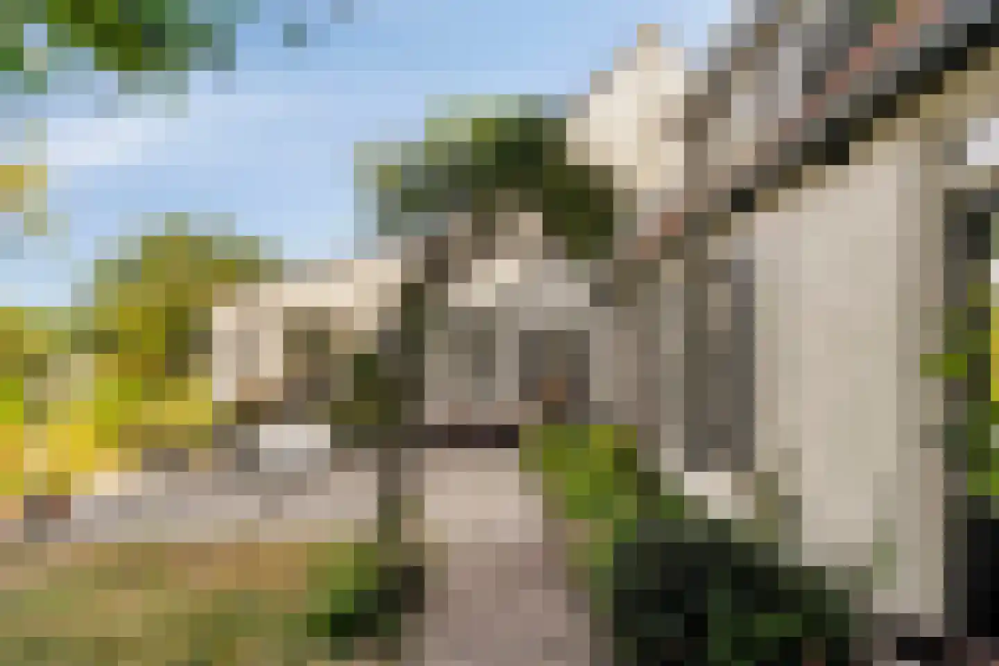 Coudorpseweg 30 Driewegen thumbnail 35