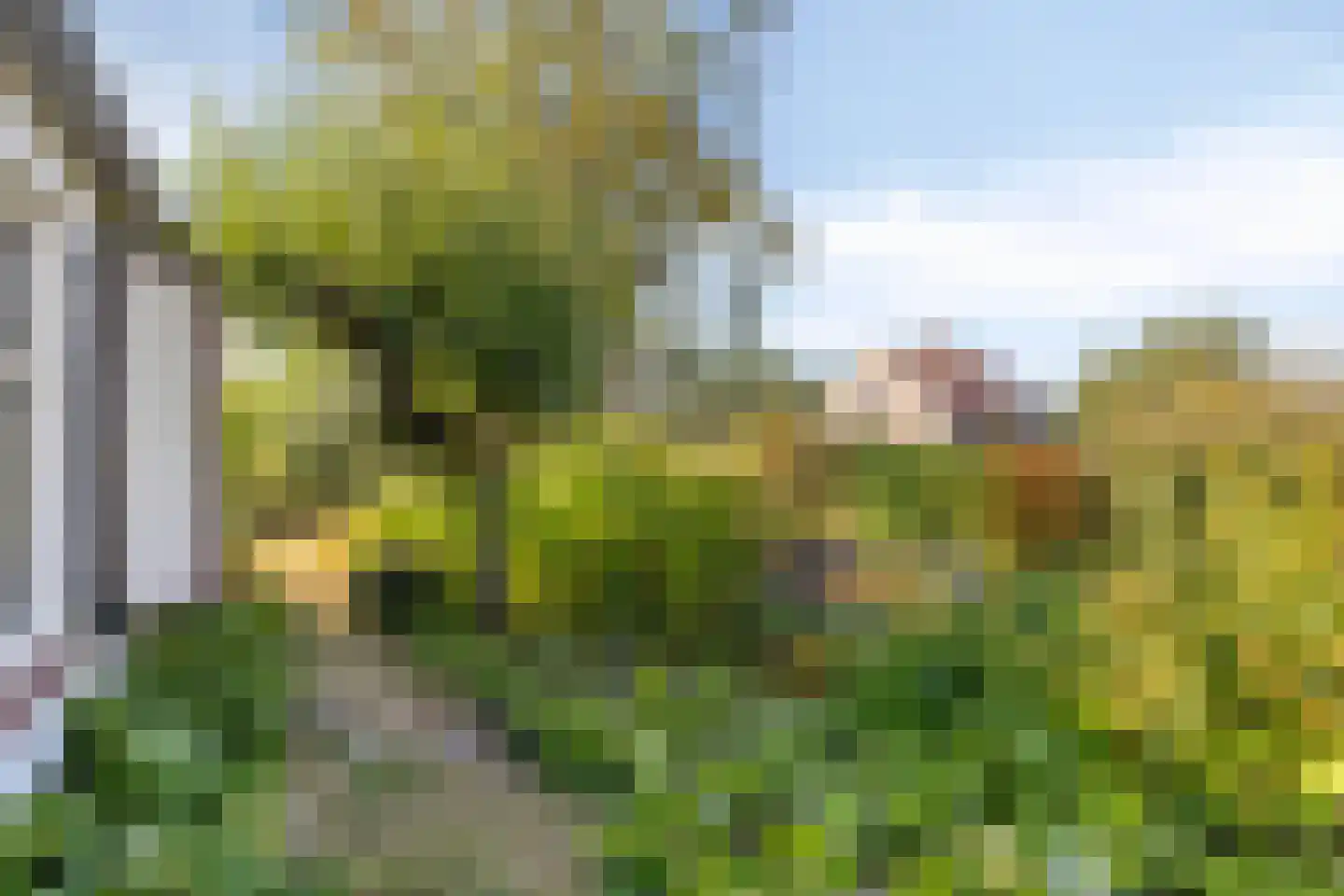 Coudorpseweg 30 Driewegen thumbnail 36