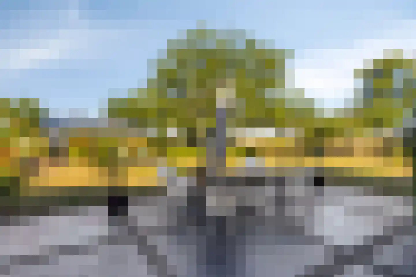 Coudorpseweg 30 Driewegen thumbnail 39