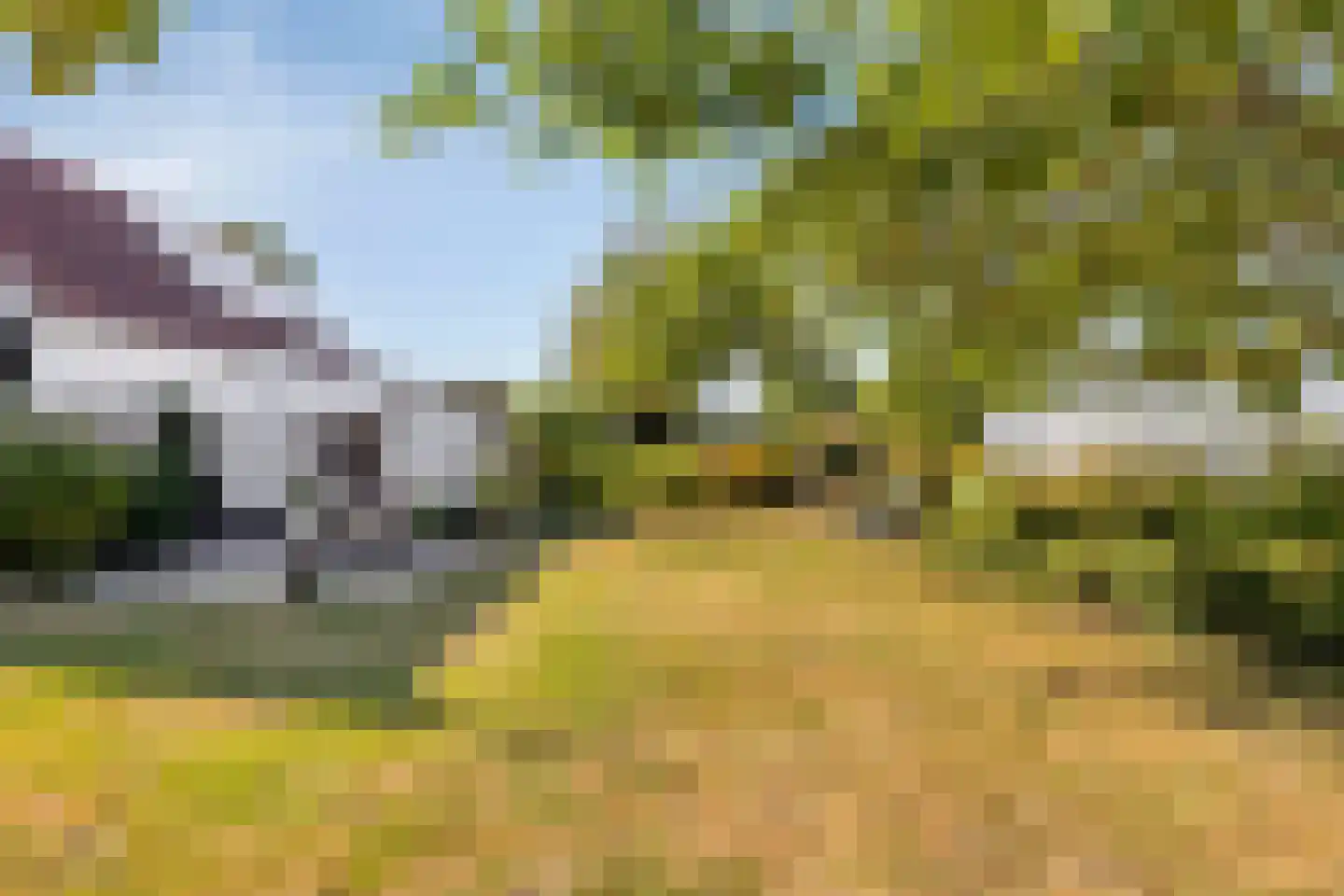 Coudorpseweg 30 Driewegen thumbnail 4