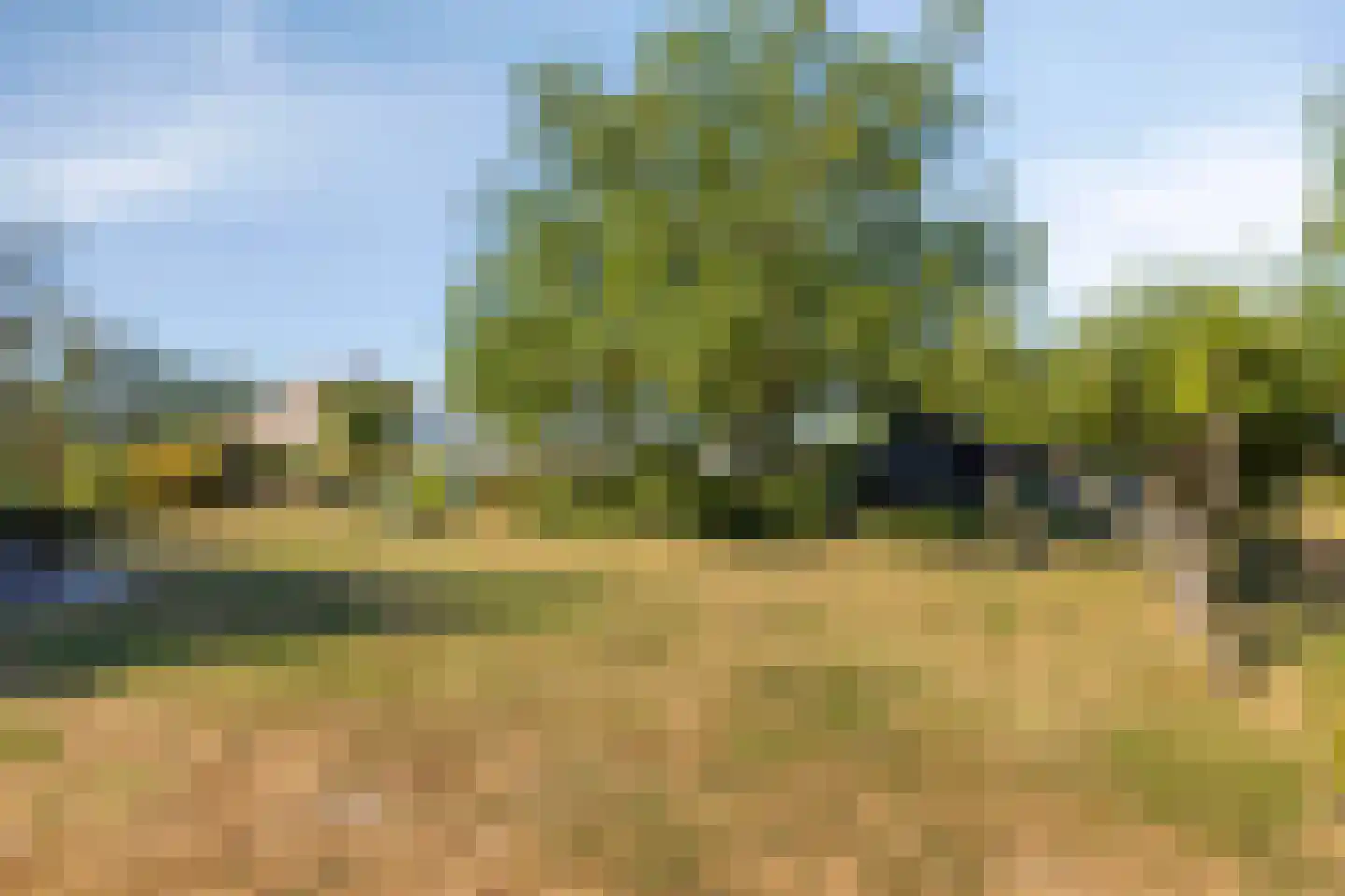 Coudorpseweg 30 Driewegen thumbnail 40