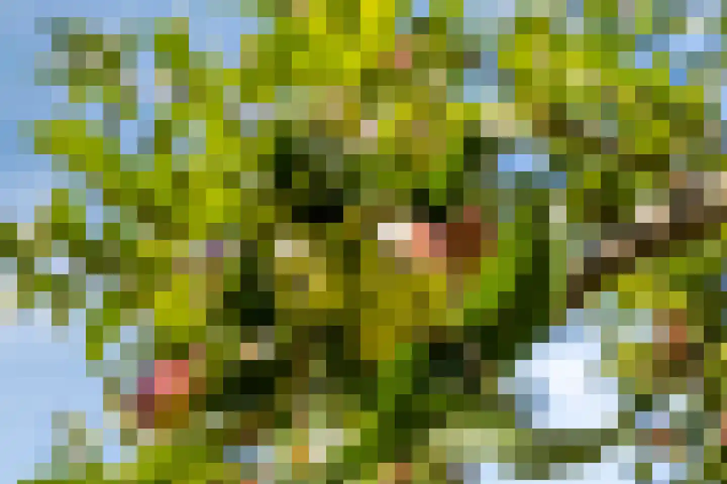Coudorpseweg 30 Driewegen thumbnail 41