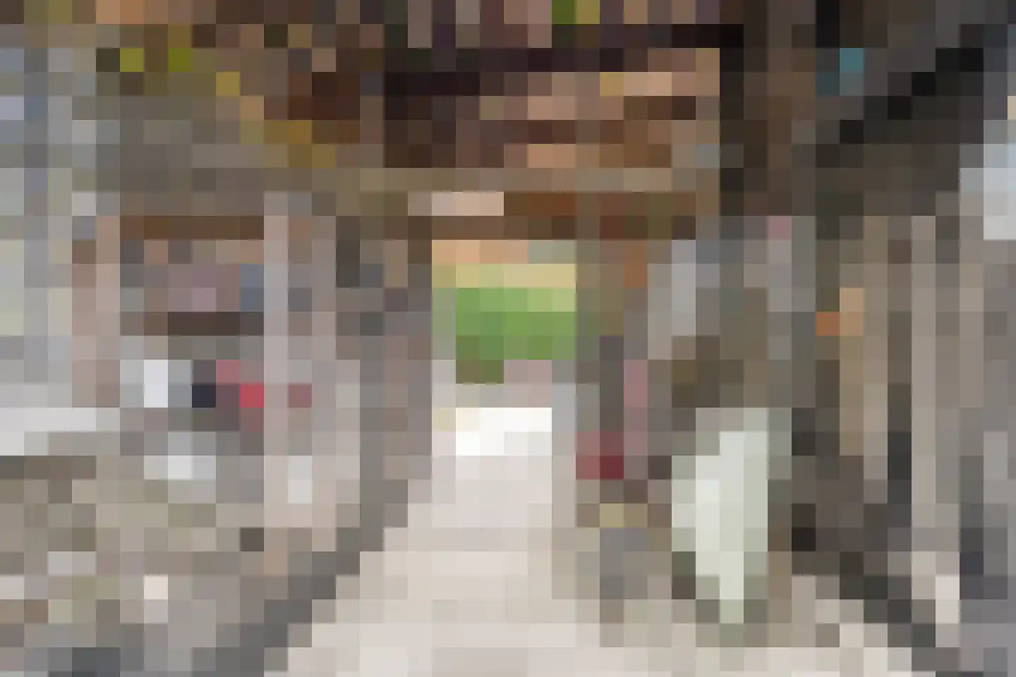 Coudorpseweg 30 Driewegen thumbnail 43