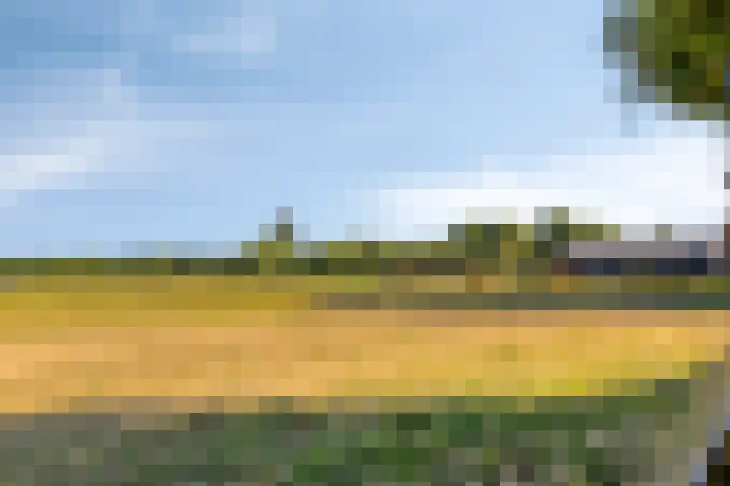 Coudorpseweg 30 Driewegen thumbnail 47