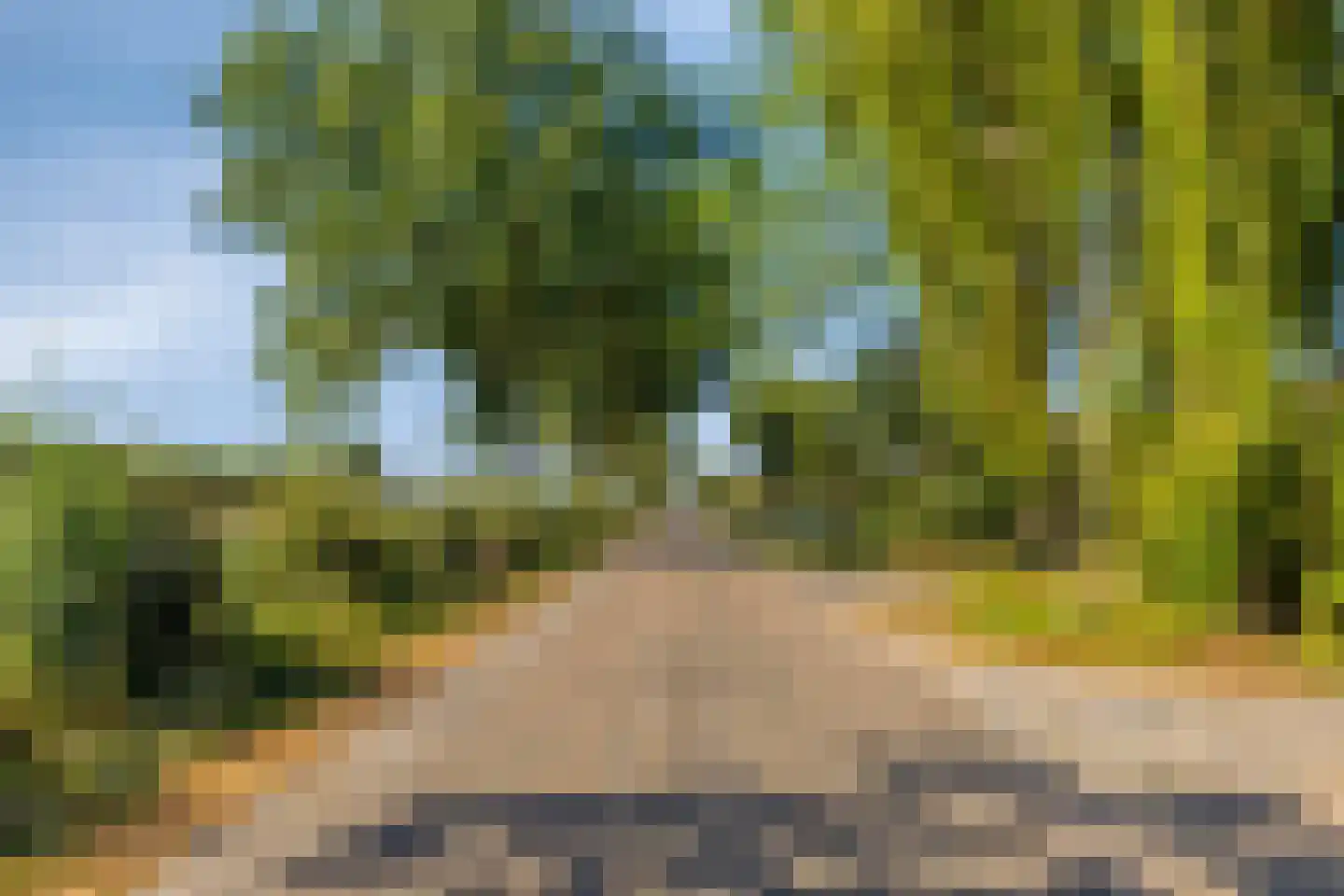 Coudorpseweg 30 Driewegen thumbnail 48