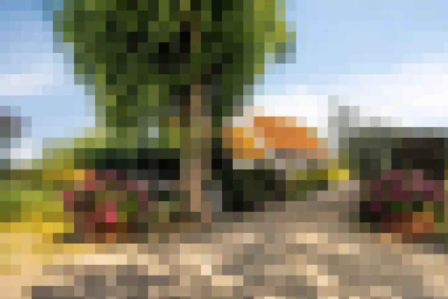 Coudorpseweg 30 Driewegen thumbnail 5