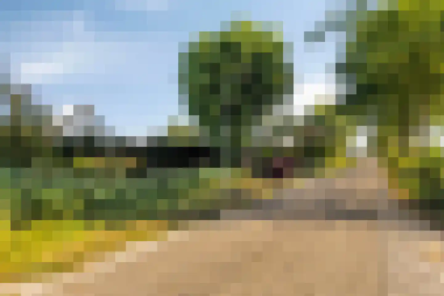 Coudorpseweg 30 Driewegen thumbnail 6