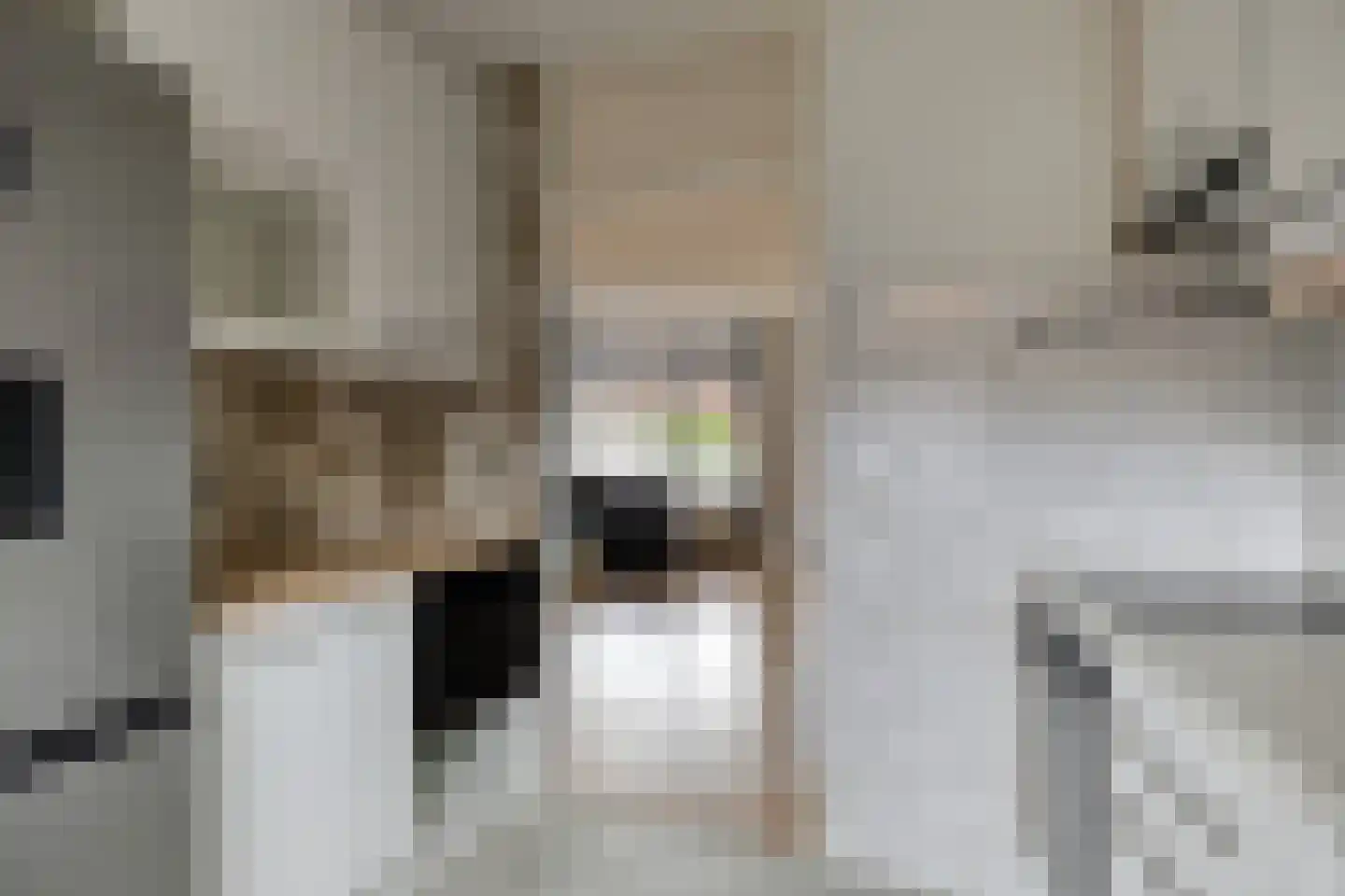 Coulisse 50 Zeewolde thumbnail 14