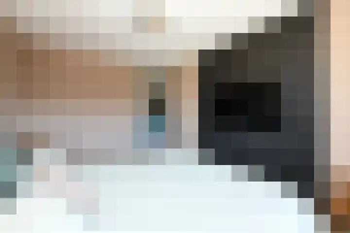 Coulisse 54 Zeewolde thumbnail 16