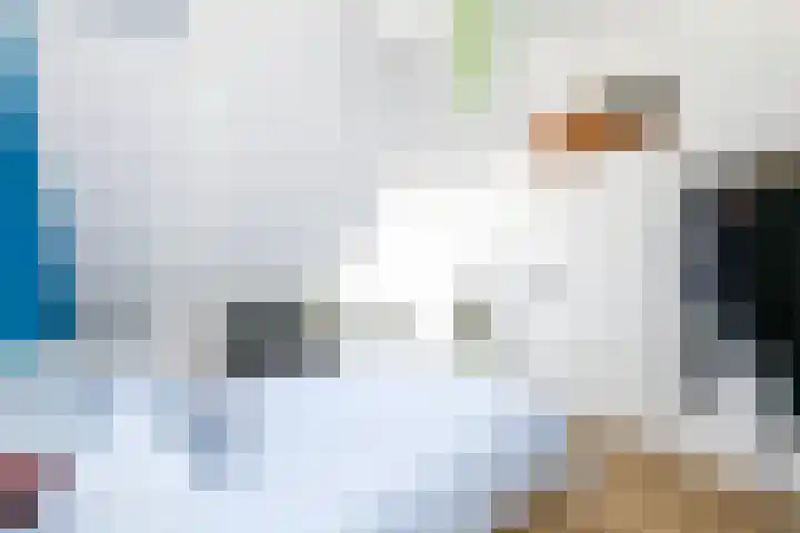 Coulisse 54 Zeewolde thumbnail 21