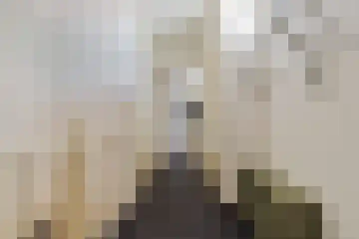 Coulissen 105 Breda thumbnail 14