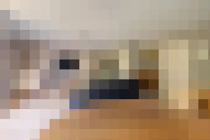 Coulissen 105 Breda thumbnail 19