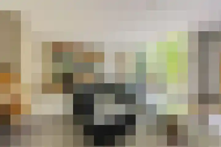 Coulissen 105 Breda thumbnail 23