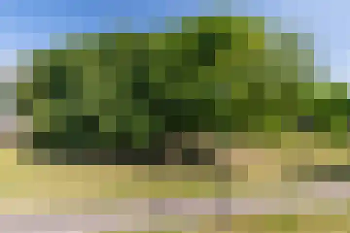 Coulissen 105 Breda thumbnail 50