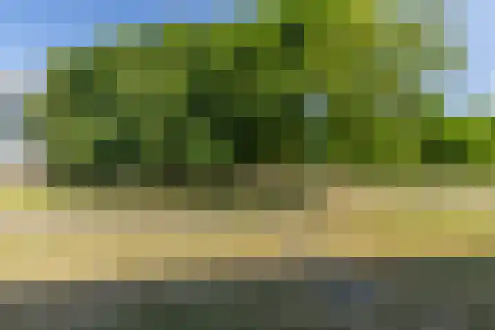Coulissen 105 Breda thumbnail 51