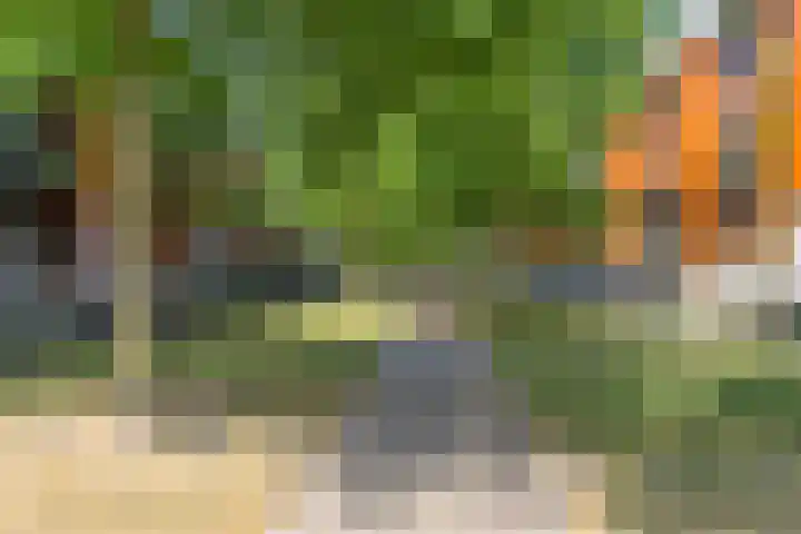 Coulissen 105 Breda thumbnail 56
