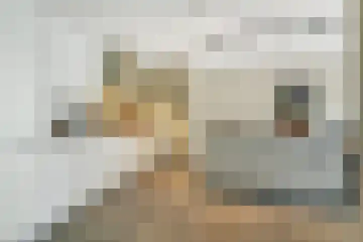 Coulissen 129 Breda thumbnail 11