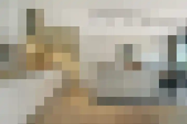 Coulissen 129 Breda thumbnail 13