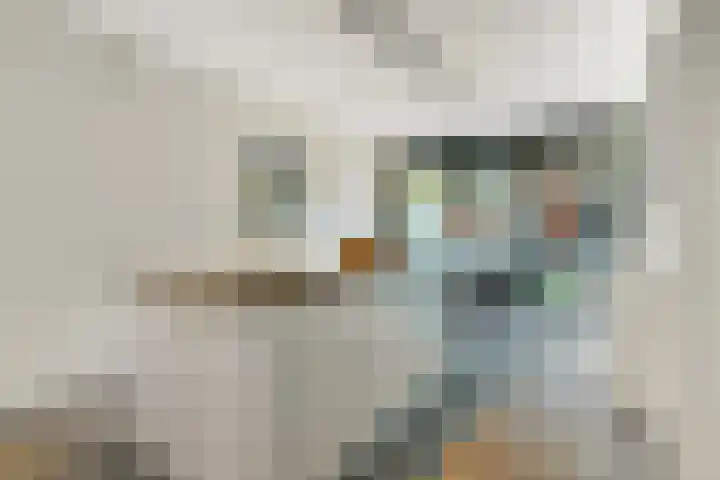 Coulissen 129 Breda thumbnail 16