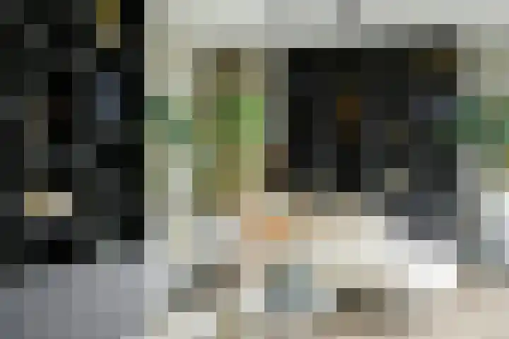 Coulissen 129 Breda thumbnail 32