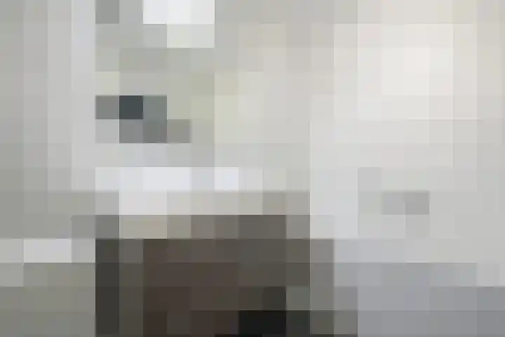 Coulissen 129 Breda thumbnail 46