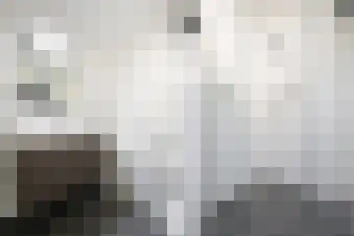 Coulissen 129 Breda thumbnail 47