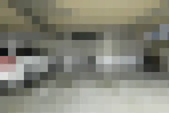 Coulissen 129 Breda thumbnail 49