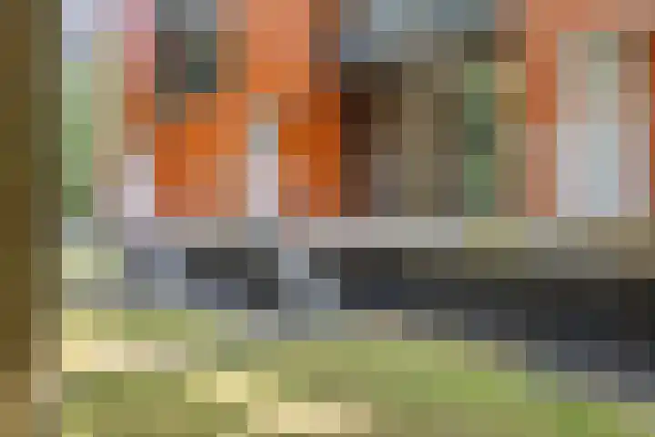 Coulissen 149 Breda thumbnail 12