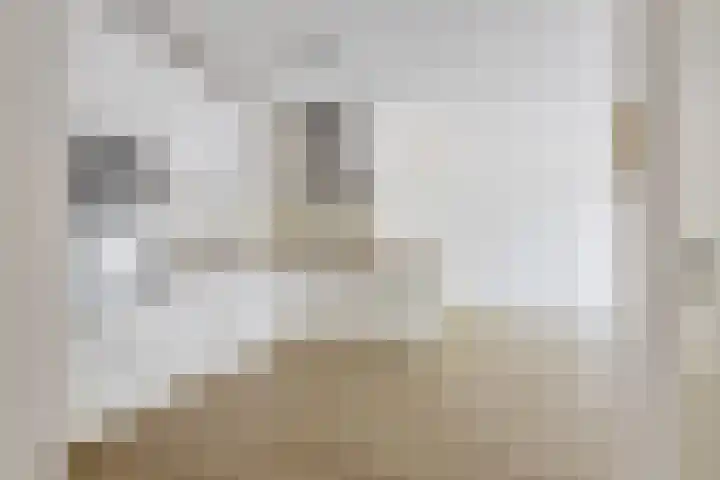 Coulissen 149 Breda thumbnail 38