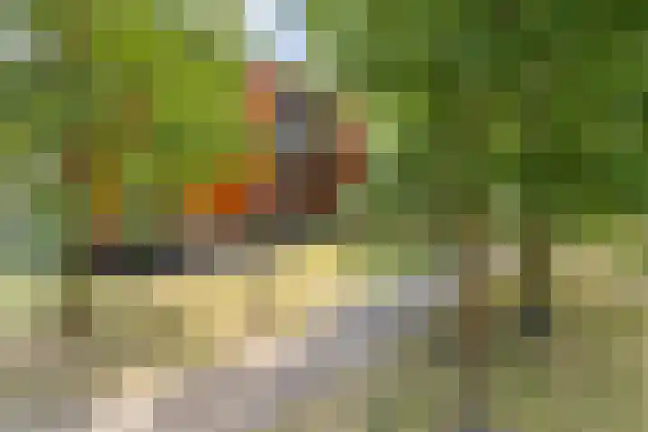 Coulissen 149 Breda thumbnail 8