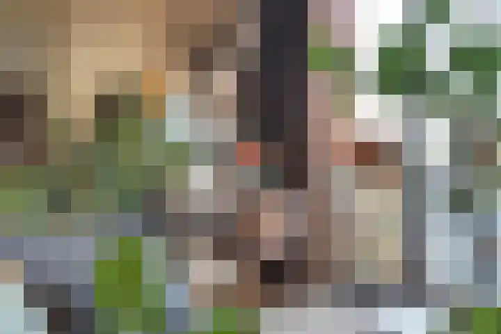 Coulissen 169 Breda thumbnail 18