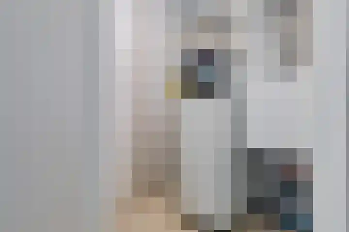 Coulissen 22 Etten-Leur thumbnail 30