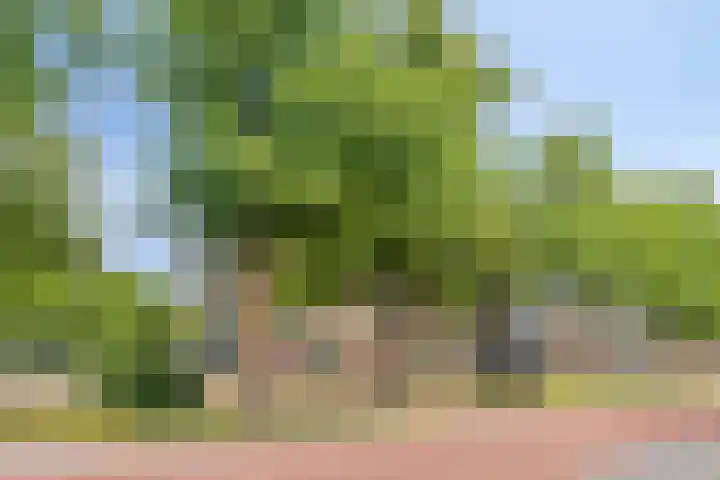 Coulissen 22 Etten-Leur thumbnail 37