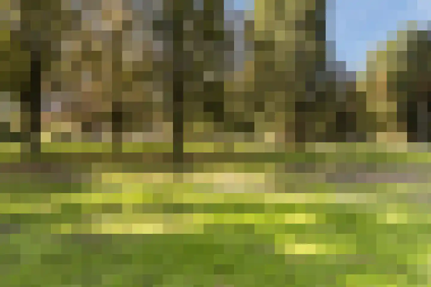 Coulissen 40 Etten-Leur thumbnail 10