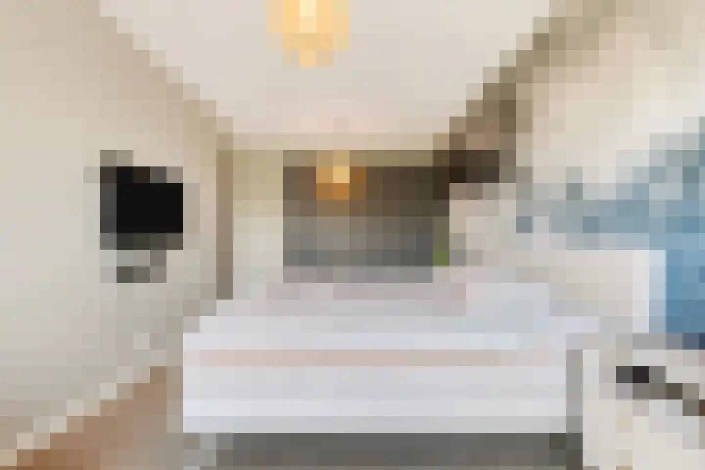 Coulissen 40 Etten-Leur thumbnail 36