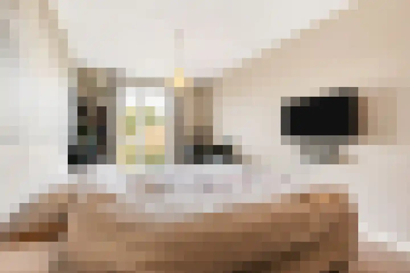 Coulissen 40 Etten-Leur thumbnail 37