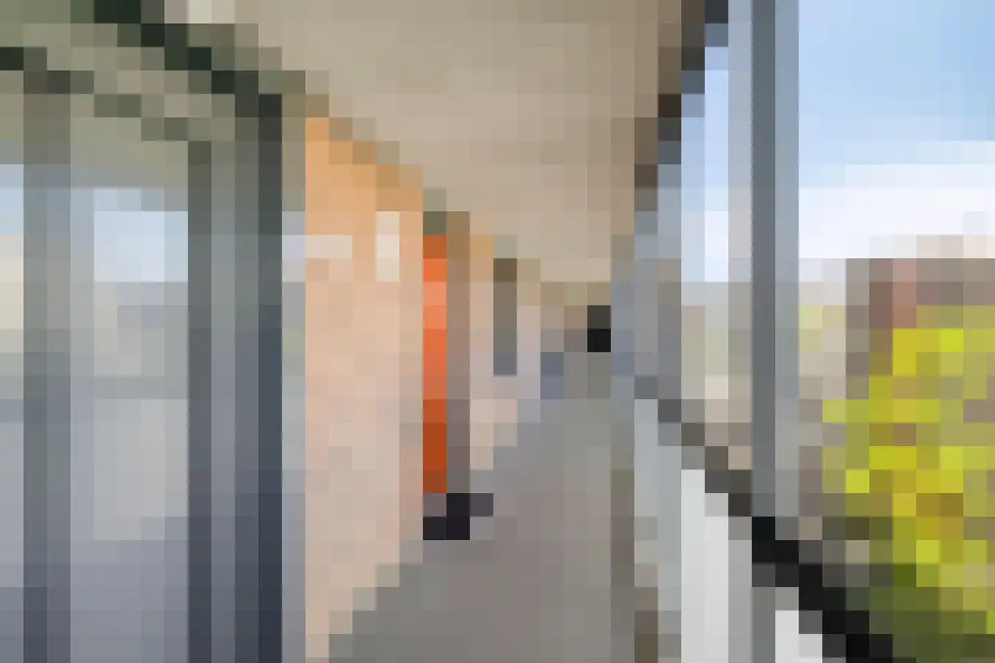 Coulissen 65 Breda thumbnail 25