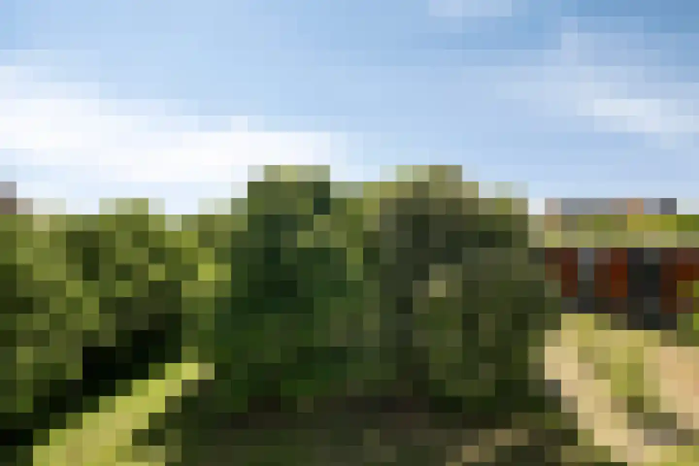 Coulissen 65 Breda thumbnail 27