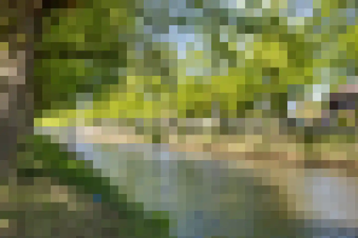 Coulissen 65 Breda thumbnail 39