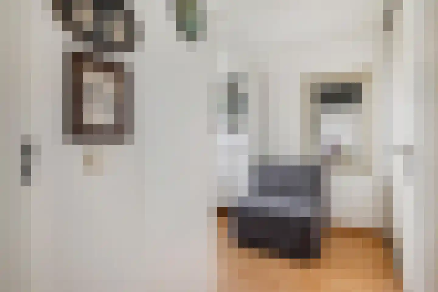 Coulissen 75 Breda thumbnail 23