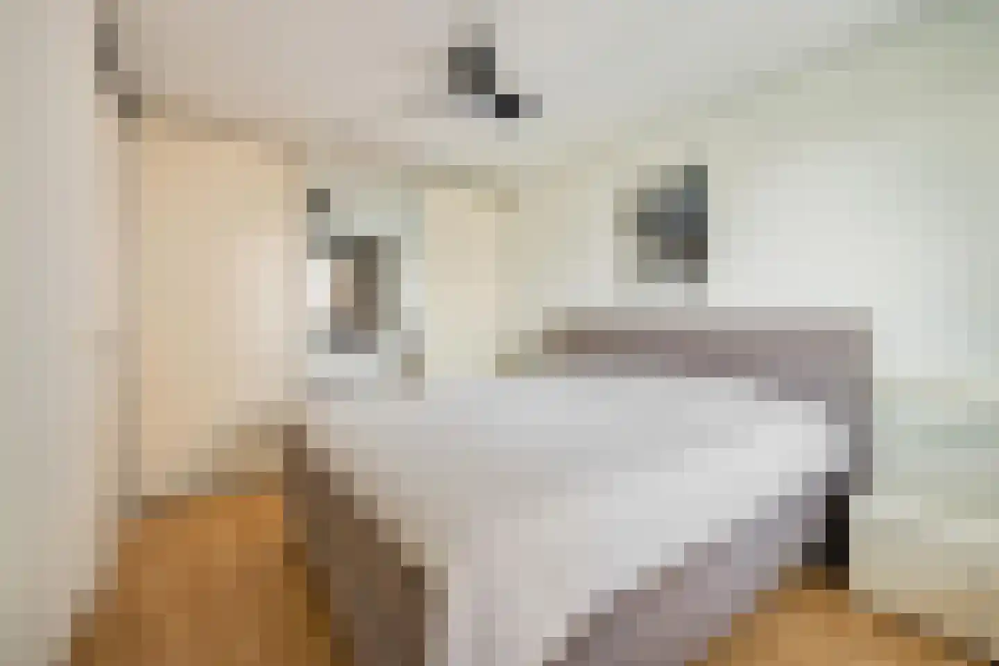 Coulissen 75 Breda thumbnail 28
