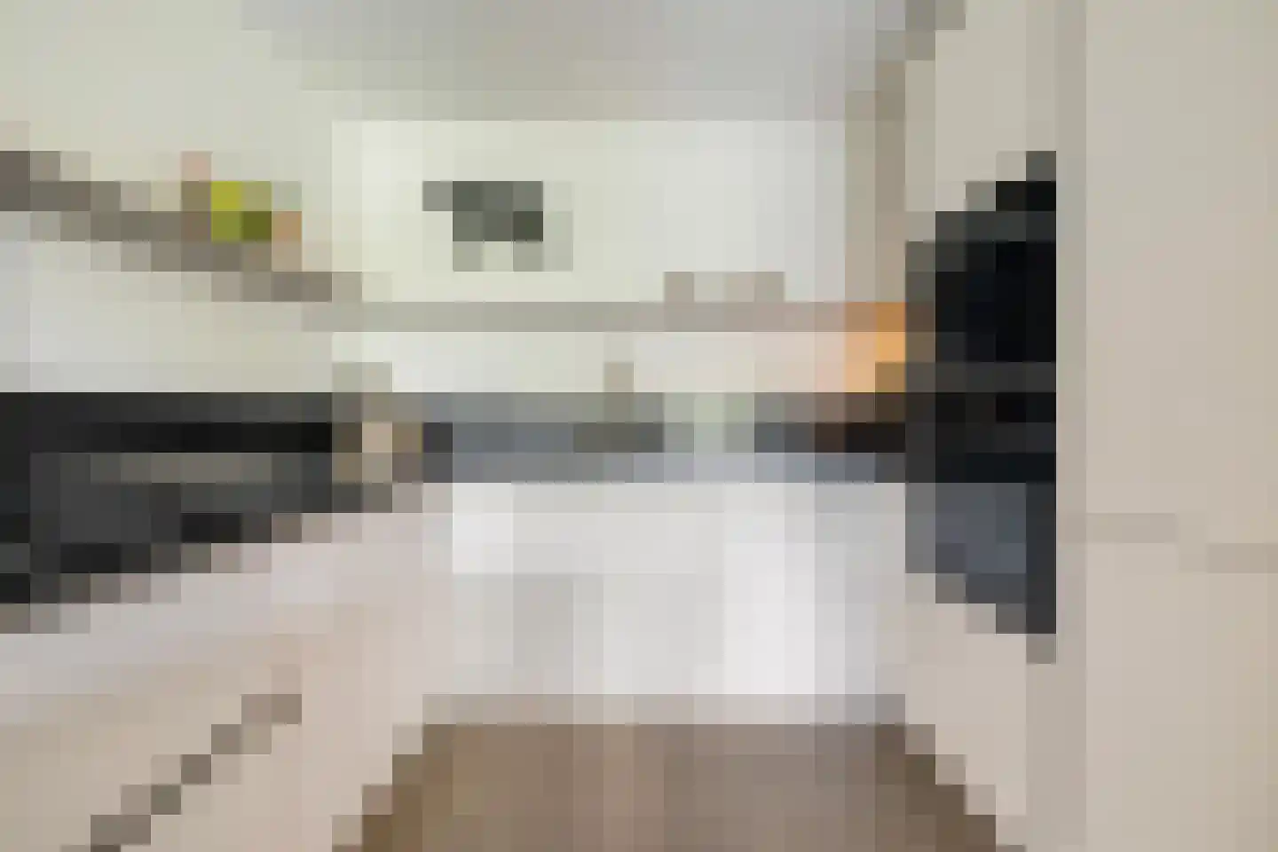 Coulissen 75 Breda thumbnail 29
