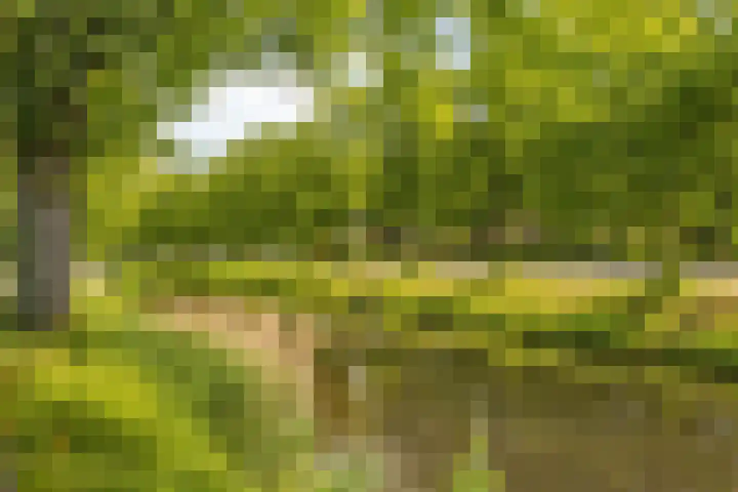 Coulissen 75 Breda thumbnail 9