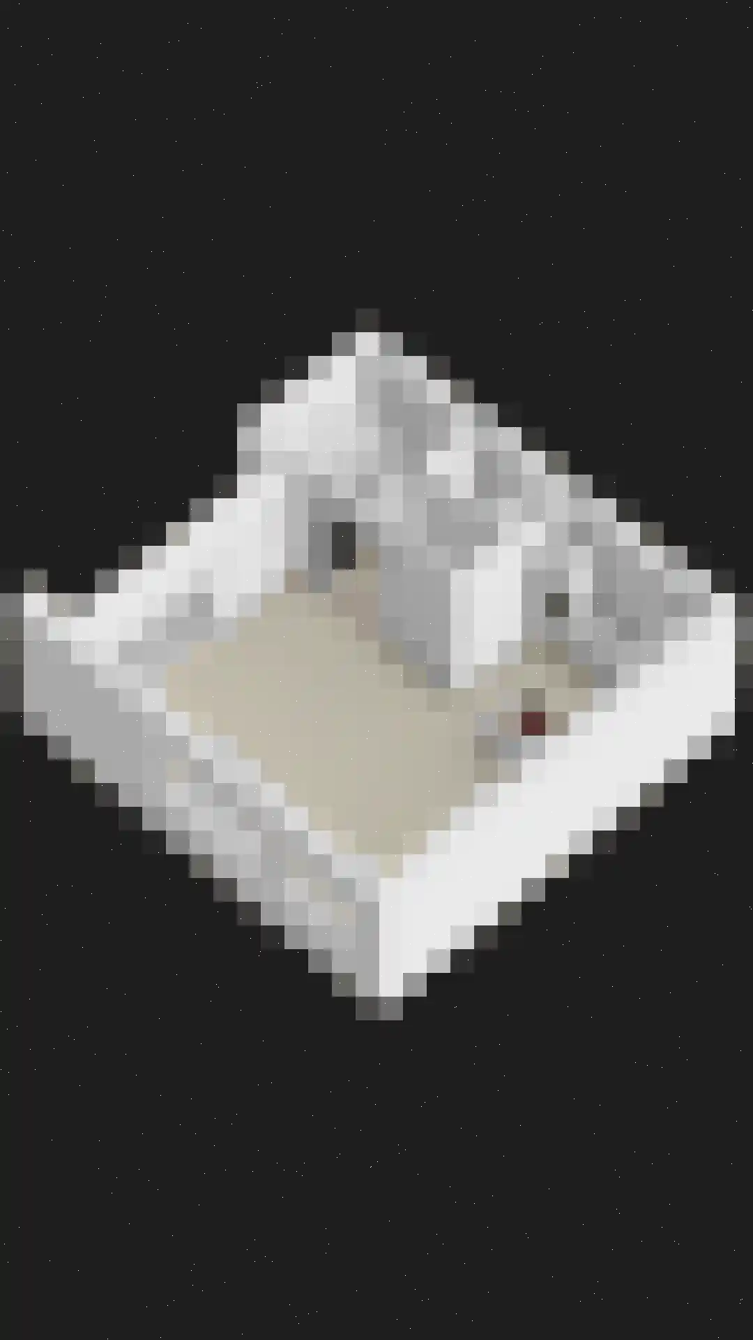 Coulissen 91 Breda thumbnail 31