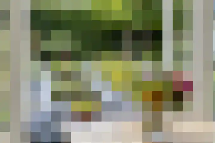 Count Basiegracht 3 Eindhoven thumbnail 19