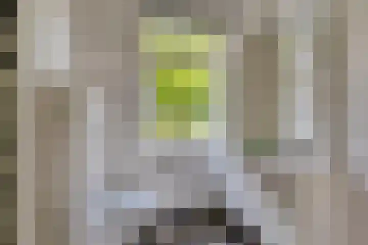 Count Basiegracht 3 Eindhoven thumbnail 34